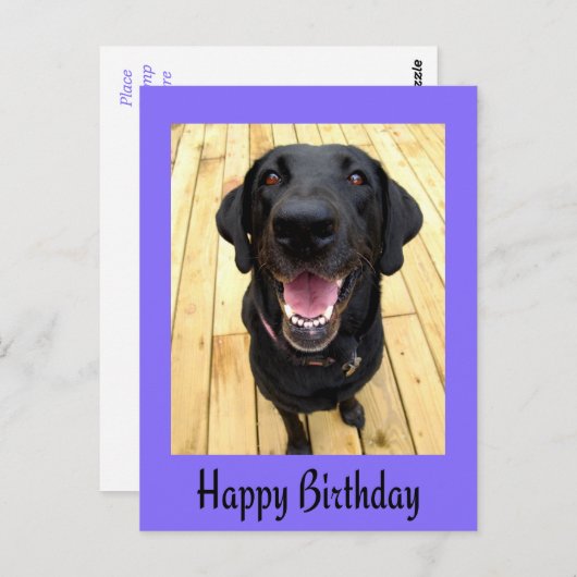 Happy Birthday Black Labrador Retriever Post Card Postkarte (Vorne/Hinten)
