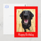 Happy Birthday Black Labrador Retriever Post Card Postkarte (Vorne/Hinten)