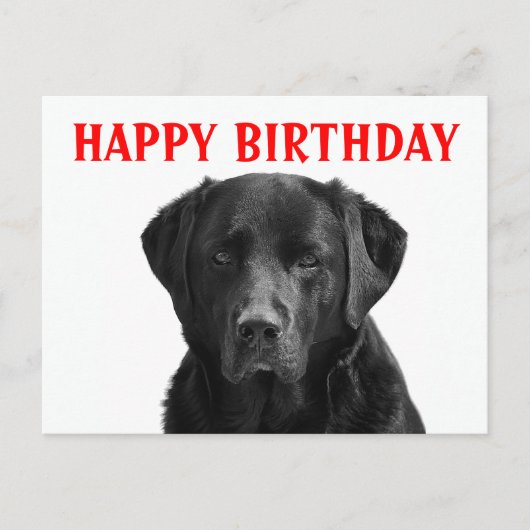 Happy Birthday Black Labrador Retriever Puppy Dog Postkarte (Vorderseite)