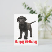 Happy Birthday Black Labrador Retriever Puppy Dog Postkarte (Stehend Vorderseite)