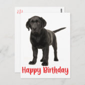 Happy Birthday Black Labrador Retriever Puppy Dog Postkarte (Vorne/Hinten)