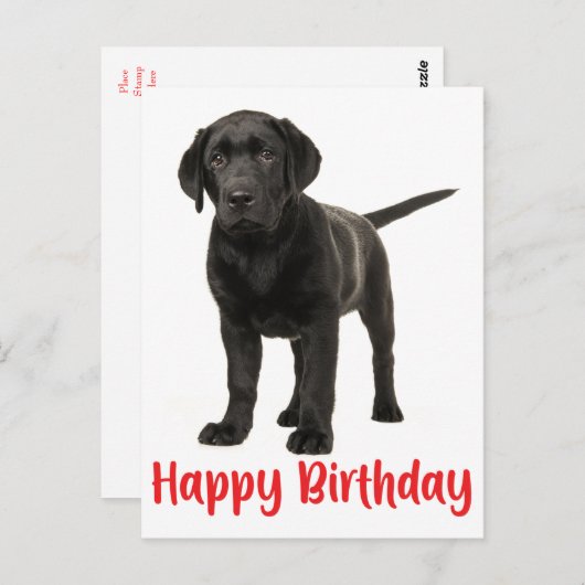 Happy Birthday Black Labrador Retriever Puppy Dog Postkarte (Vorne/Hinten)