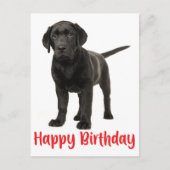 Happy Birthday Black Labrador Retriever Puppy Dog Postkarte (Vorderseite)