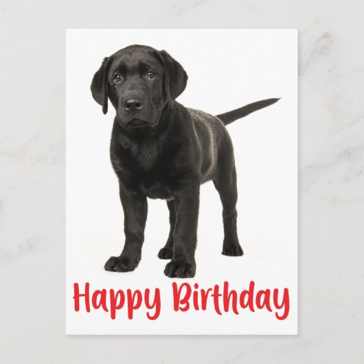 Happy Birthday Black Labrador Retriever Puppy Dog Postkarte (Vorderseite)