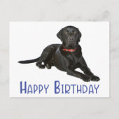 Happy Birthday Black Labrador Retriever Puppy Dog Postkarte (Vorderseite)