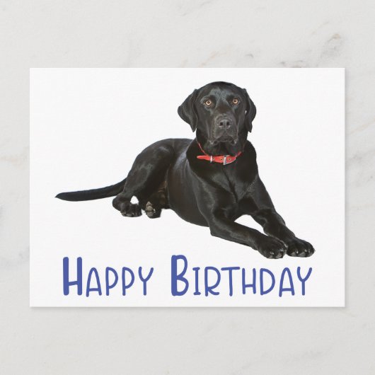 Happy Birthday Black Labrador Retriever Puppy Dog Postkarte (Vorderseite)