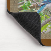 Happy Birthday Blue Jay Mousepad (Ecke)
