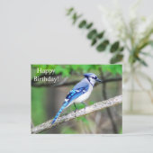 Happy Birthday Blue Jay Postcard Postkarte (Stehend Vorderseite)
