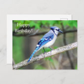 Happy Birthday Blue Jay Postcard Postkarte (Vorne/Hinten)