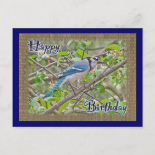 Happy Birthday Blue Jay Postkarte
