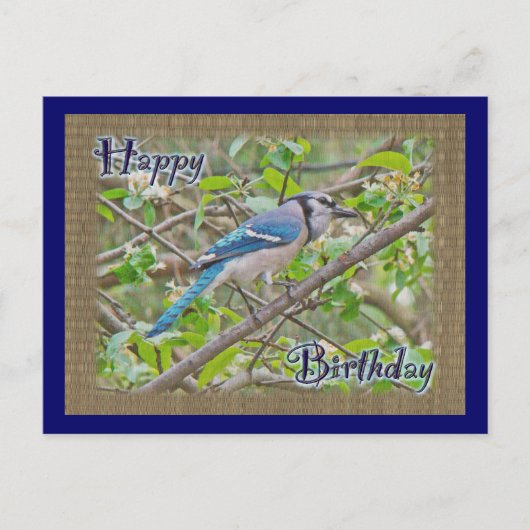 Happy Birthday Blue Jay Postkarte (Vorderseite)