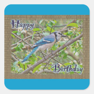 Happy Birthday Blue Jay Quadratischer Aufkleber