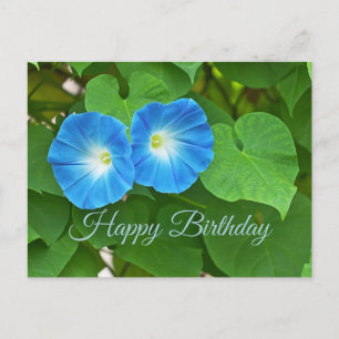 Happy Birthday Blue Morning Glory Blume Postkarte