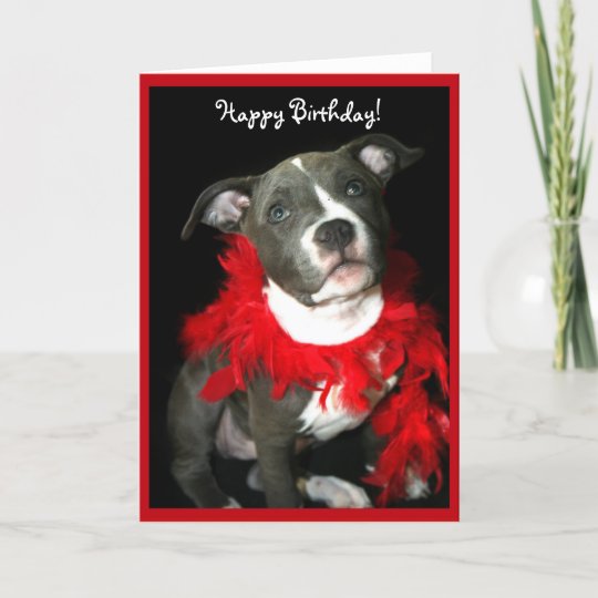 Happy Birthday Blue Pitbull Welpe Grusskarte Karte Zazzle De