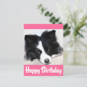 Happy Birthday Border Collie Puppy Dog Postkarte (Stehend Vorderseite)