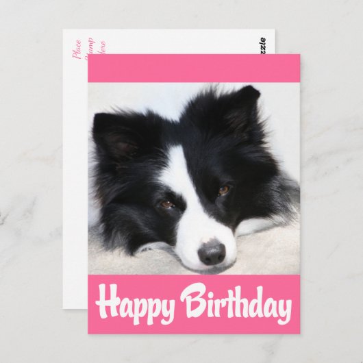 Happy Birthday Border Collie Puppy Dog Postkarte (Vorne/Hinten)