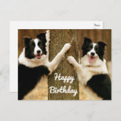 Happy Birthday Border Collie Puppy Dog Rustic Postkarte (Vorne/Hinten)