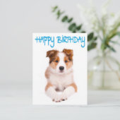 Happy Birthday Border Collie Puppy Dop Card Postkarte (Stehend Vorderseite)