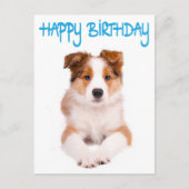 Happy Birthday Border Collie Puppy Dop Card Postkarte (Vorderseite)