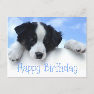Happy Birthday Border Collie Puppy Dop Card Postkarte