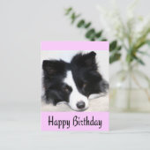 Happy Birthday Border Collie Puppy Dop Card Postkarte (Stehend Vorderseite)