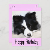 Happy Birthday Border Collie Puppy Dop Card Postkarte (Vorne/Hinten)