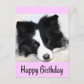 Happy Birthday Border Collie Puppy Dop Card Postkarte (Vorderseite)