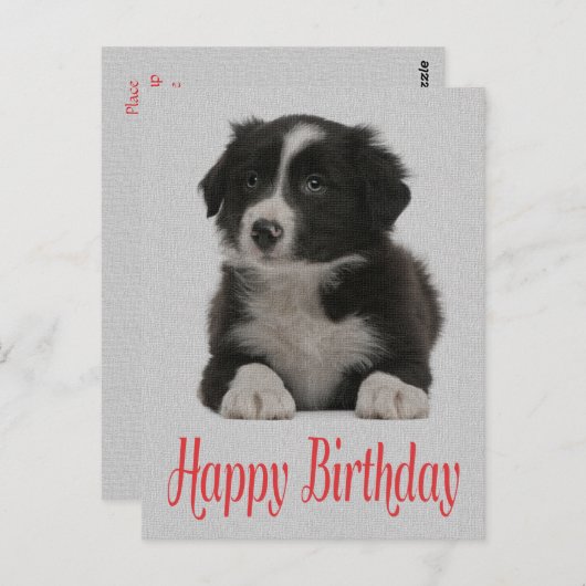 Happy Birthday Border Collie Puppy Dop Card Postkarte (Vorne/Hinten)