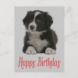Happy Birthday Border Collie Puppy Dop Card Postkarte