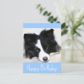 Happy Birthday Border Collie Puppy Dop Card Postkarte (Stehend Vorderseite)