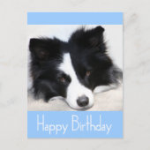 Happy Birthday Border Collie Puppy Dop Card Postkarte (Vorderseite)
