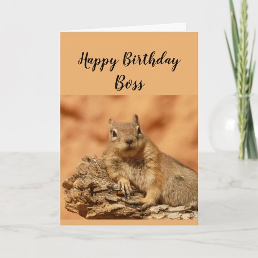 Happy Birthday Boss Funny Squirrel Relax Karte (Vorderseite)