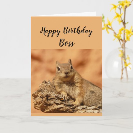 Happy Birthday Boss Funny Squirrel Relax Karte (Gelbe Blume)