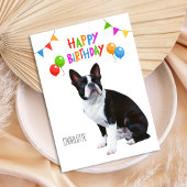 Happy Birthday Boston Terrier Balloons und Banner Karte