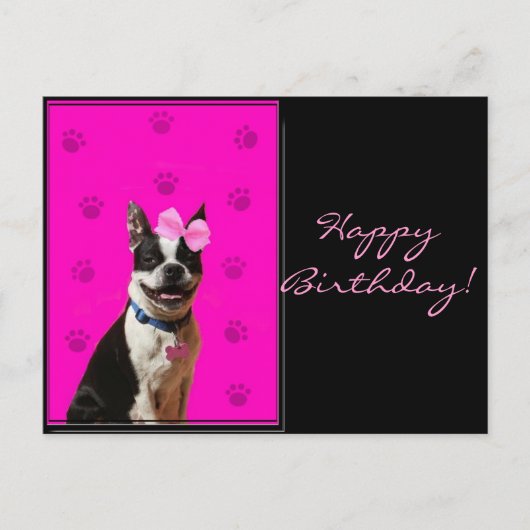 Happy Birthday Boston Terrier Postcard Postkarte (Vorderseite)