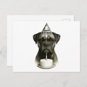 Happy Birthday Boxer Dog Feiertagspostkarte (Vorne/Hinten)