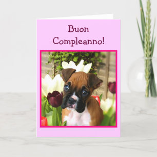 Happy Birthday boxer dog greeting card Karte