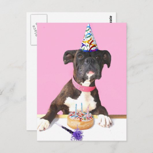 Happy Birthday Boxer Hund Postkarte (Vorne/Hinten)