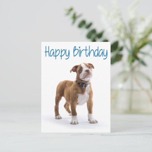 Happy Birthday Boxer Puppy Dog Postard Postkarte (Stehend Vorderseite)