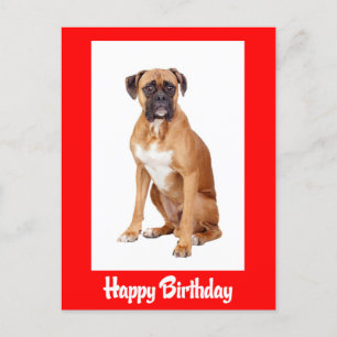 Happy Birthday Boxer Puppy Dog Red Postcard Postkarte