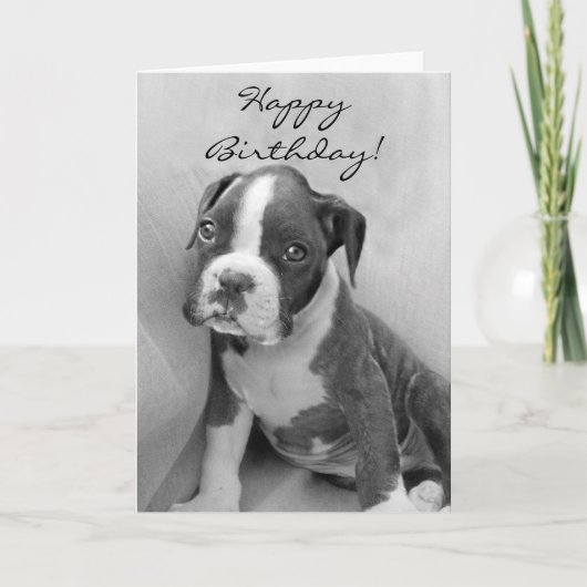Happy Birthday Boxer puppy Karte (Vorderseite)