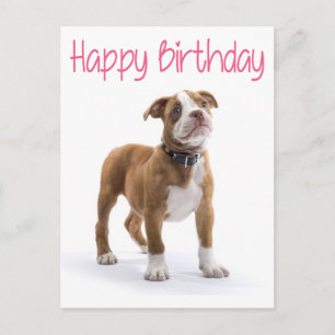 Happy Birthday Boxer Welpenhund Postkarte