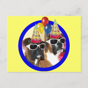 Happy Birthday Boxers Postcard Postkarte
