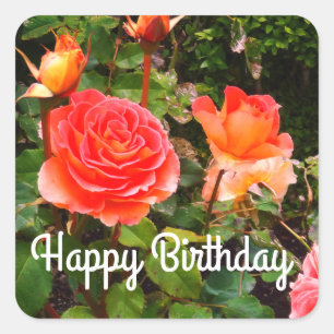 Happy Birthday Brass Band Rose #1-1 Stickers