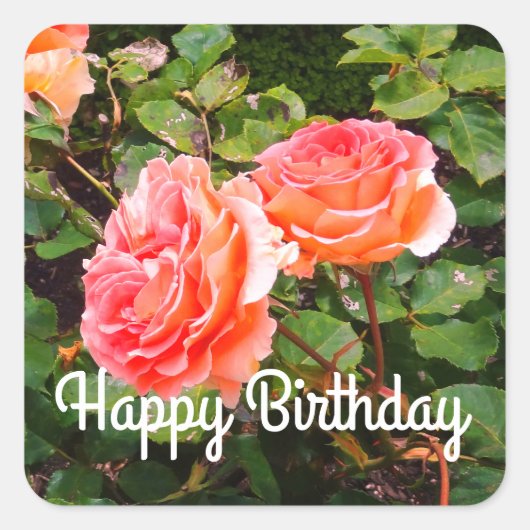 Happy Birthday Brass Band Rose #1-2 Stickers (Vorderseite)