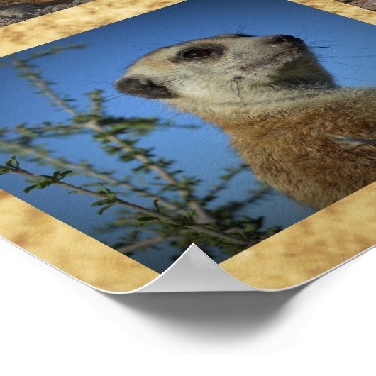 Happy Birthday Brea Poster (Ecke)