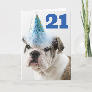 Happy Birthday   British Bulldog Puppy Karte