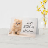 Happy Birthday | British Longhair Kitten Karte (Gelbe Blume)