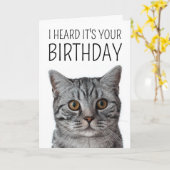 Happy Birthday | British Shorthair Cat Face Karte (Gelbe Blume)