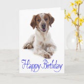 Happy Birthday Brittany Spanel Welpe Hund Card Karte (Gelbe Blume)